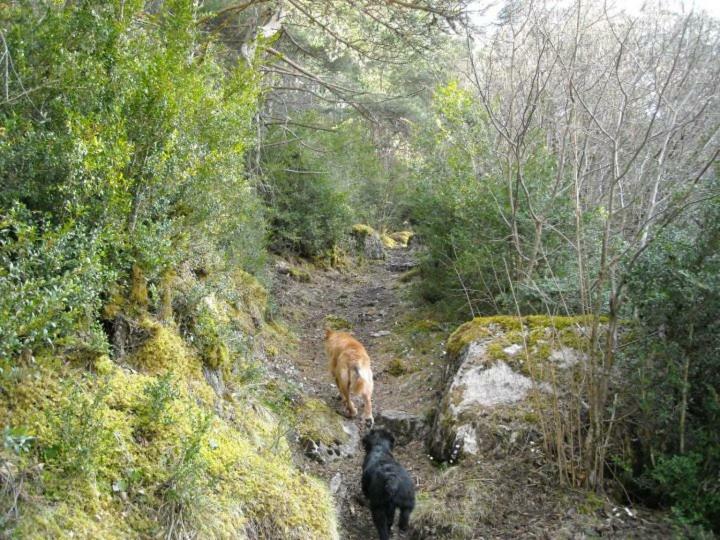 Appartamento El Corralet De Cal Tonico Llagunes Esterno foto